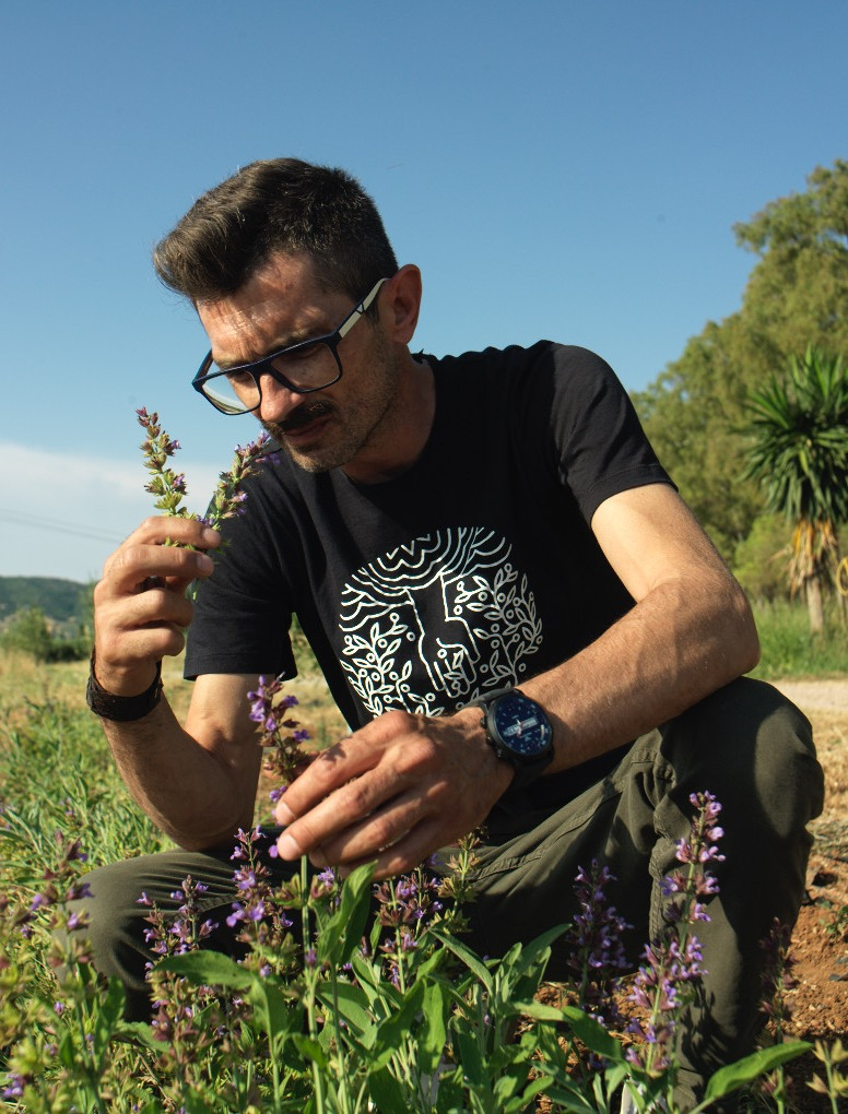 Greek herbs in espresso capsules: The award-winning start up idea